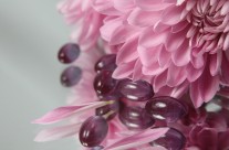 Pink Flower